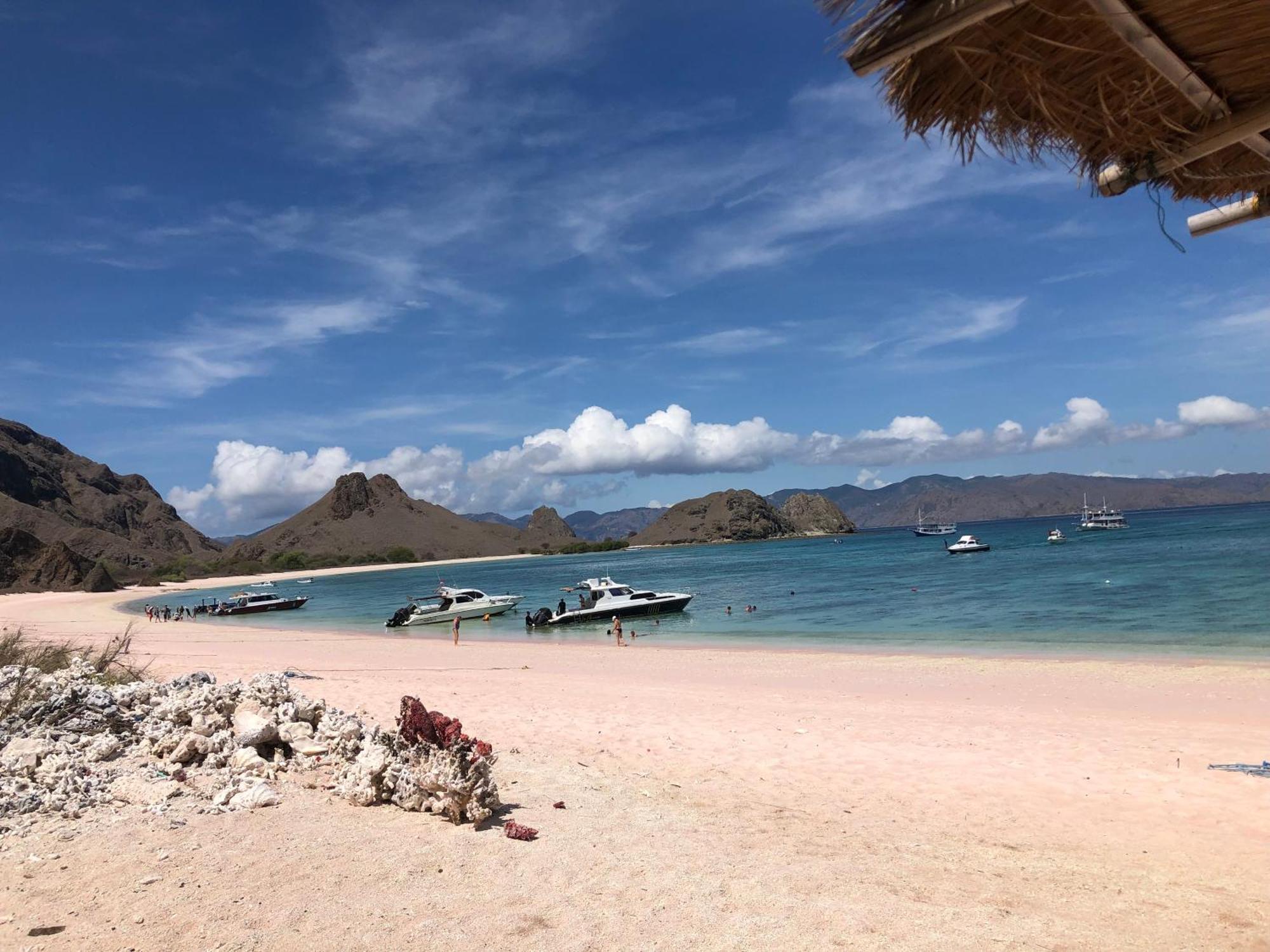 Dua Putri Komodo Homestay Ngoại thất bức ảnh