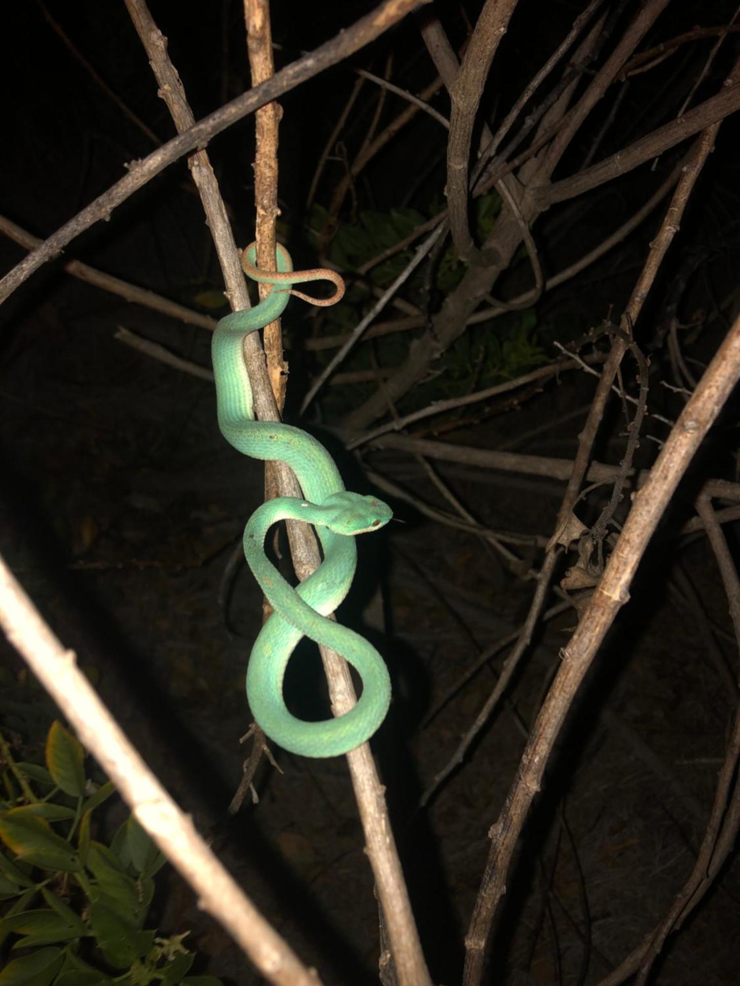 Dua Putri Komodo Homestay Ngoại thất bức ảnh